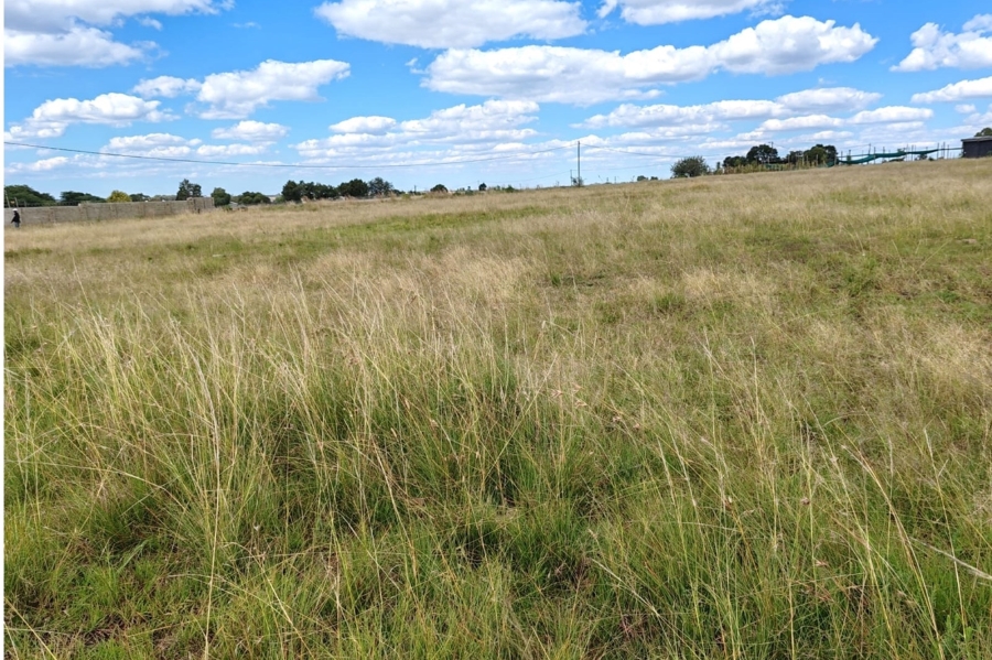 0 Bedroom Property for Sale in Oranjeville Free State